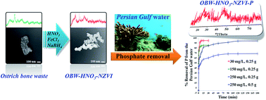 Graphical abstract: Phosphate removal by a nano-biosorbent from the synthetic and real (Persian Gulf) water samples