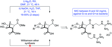 Graphical abstract: Synthesis of norbornane bisether antibiotics via silver-mediated alkylation