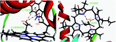 Graphical abstract: Anion–π interactions in protein–porphyrin complexes