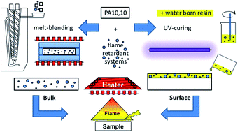 Graphical abstract: Bulk vs. surface flame retardancy of fully bio-based polyamide 10,10