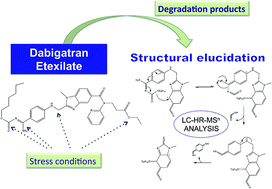Graphical abstract: Identification of dabigatran etexilate major degradation pathways by liquid chromatography coupled to multi stage high-resolution mass spectrometry