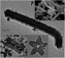 Graphical abstract: Ag nanowires as precursors to synthesize Ag–ZnO nanostructured brushes