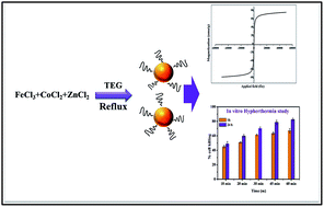 Graphical abstract: Cancer cell extinction through a magnetic fluid hyperthermia treatment produced by superparamagnetic Co–Zn ferrite nanoparticles