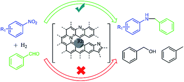 Graphical abstract: Selective and recyclable rhodium nanocatalysts for the reductive N-alkylation of nitrobenzenes and amines with aldehydes