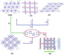 Graphical abstract: A series of multidimensional MOFs incorporating a new N-heterocyclic building block: 5,5′-di(pyridin-4-yl)-3,3′-bi(1,2,4-triazole)