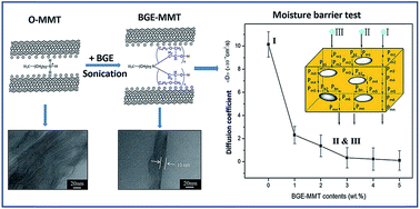 Graphical abstract: Highly moisture-resistant epoxy composites: an approach based on liquid nano-reinforcement containing well-dispersed activated montmorillonite