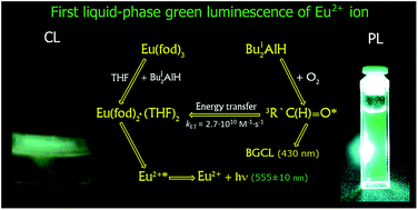 Graphical abstract: The first registration of a green liquid-phase chemiluminescence of the divalent Eu2+* ion in interaction of β-diketonate complexes Eu(acac)3·H2O, Eu(dpm)3, Eu(fod)3 and Eu(CH3COO)3·6H2O with Bui2AlH in THF with the participation of oxygen