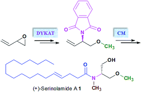 Graphical abstract: Enantioselective total synthesis of (+)-serinolamide A
