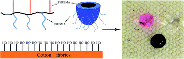 Graphical abstract: Synthesis and self-assembly of well-defined binary graft copolymer and its use in superhydrophobic cotton fabrics preparation