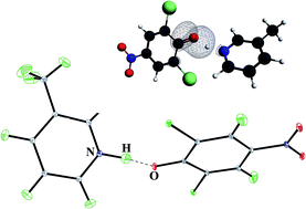 Graphical abstract: Intermolecular OHN hydrogen bond with a proton moving in 3-methylpyridinium 2,6-dichloro-4-nitrophenolate