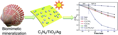 Graphical abstract: Biomimetic synthesis of C3N4/TiO2/Ag nanosheet composites with high visible-light photocatalytic performance