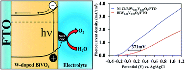 Graphical abstract: Ni-Ci oxygen evolution catalyst integrated BiVO4 photoanodes for solar induced water oxidation