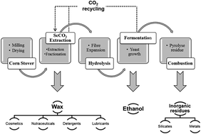 Graphical abstract: Supercritical extraction as an effective first-step in a maize stover biorefinery