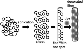 Graphical abstract: Sonication-induced instant fibrillation and fluorescent labeling of tripeptide fibers
