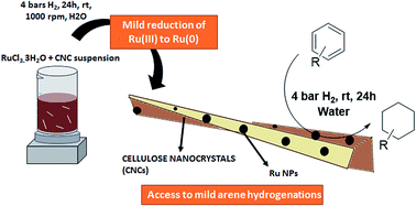 Graphical abstract: Cellulose nanocrystals as non-innocent supports for the synthesis of ruthenium nanoparticles and their application to arene hydrogenation