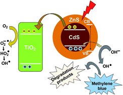 Graphical abstract: Supercritical CO2 synthesized TiO2 nanowires covalently linked with core–shell CdS–ZnS quantum dots: enhanced photocatalysis and stability