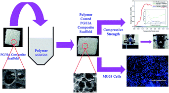 Graphical abstract: Polymer coated phosphate glass/hydroxyapatite composite scaffolds for bone tissue engineering applications