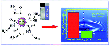 Graphical abstract: Magnetic amine-functionalized polyacrylic acid-nanomagnetite for hexavalent chromium removal from polluted water