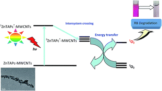 Graphical abstract: Novel catalyst of zinc tetraamino-phthalocyanine supported by multi-walled carbon nanotubes with enhanced visible-light photocatalytic activity