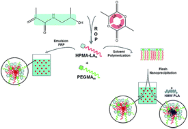 Graphical abstract: Multiple strategies to produce lipophilic nanoparticles leaving water-soluble poly(HPMA)