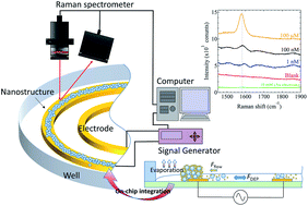 Graphical abstract: On-chip integration of novel Au electrode with a higher order three-dimensional layer stack nanostructure for surface-enhanced Raman spectroscopy