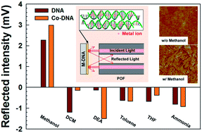 Graphical abstract: A methanol VOC sensor using divalent metal ion-modified 2D DNA lattices