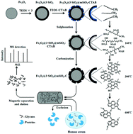 Graphical abstract: Facile preparation of carbon-functionalized ordered magnetic mesoporous silica composites for highly selective enrichment of N-glycans