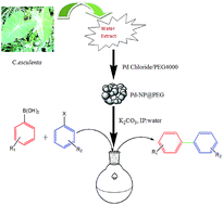 Graphical abstract: Biosynthesis of poly(ethylene glycol)-supported palladium nanoparticles using Colocasia esculenta leaf extract and their catalytic activity for Suzuki–Miyaura cross-coupling reactions