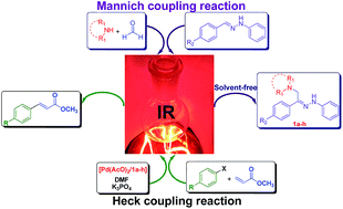 Graphical abstract: Infrared irradiation assisted both the synthesis of ( Z)-(aminomethyl)(aryl)phenylhydrazones via the Mannich coupling reaction and their application to the palladium-catalyzed Heck reaction