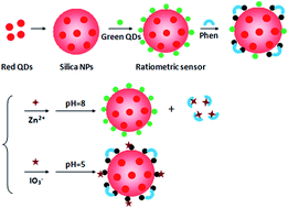 Graphical abstract: A naked-eye pH-modulated ratiometric photoluminescence sensor based on dual-emission quantum dot@silica nanoparticles for Zn2+ and IO3−