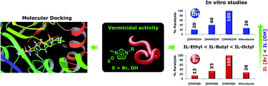 Graphical abstract: Evaluation of imidazolium-based ionic liquids towards vermicidal activity: in vitro & in silico studies