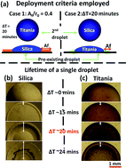 Graphical abstract: Deployment strategy for controlled morphologies in sessile, mixed colloidal droplets