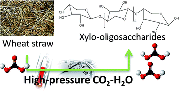 Graphical abstract: Selective hydrolysis of wheat straw hemicellulose using high-pressure CO2 as catalyst