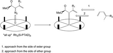 Graphical abstract: Computational study on the mechanism and enantioselectivity of Rh2(S-PTAD)4 catalyzed asymmetric [4+3] cycloaddition between vinylcarbenoids and dienes