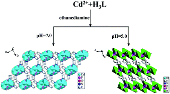 Graphical abstract: Two novel cadmium(ii) carboxyphosphonates with 3D framework structure: synthesis, crystal structures, luminescence and molecular recognition properties