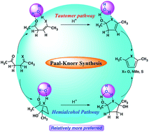 Graphical abstract: Mechanism of the Paal–Knorr reaction: the importance of water mediated hemialcohol pathway