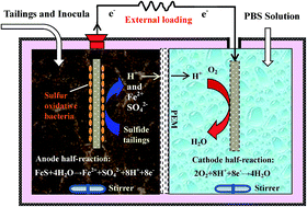 Graphical abstract: Electricity generation from sulfide tailings using a double-chamber microbial fuel cell