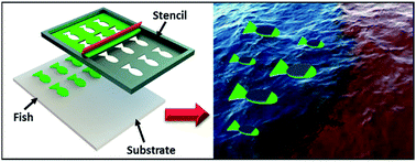 Graphical abstract: Self-propelled screen-printable catalytic swimmers