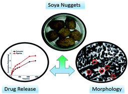Graphical abstract: Soya nuggets – a potential carrier: swelling kinetics and release of hydrophobic drugs