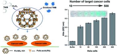 Graphical abstract: Highly efficient colorimetric detection of cancer cells utilizing Fe-MIL-101 with intrinsic peroxidase-like catalytic activity over a broad pH range
