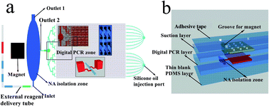 Graphical abstract: An integrated temporary negative pressure assisted microfluidic chip for DNA isolation and digital PCR detection