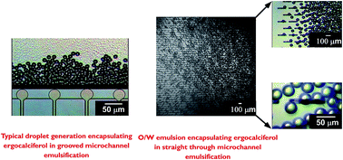 Graphical abstract: Formulation characteristics of triacylglycerol oil-in-water emulsions loaded with ergocalciferol using microchannel emulsification