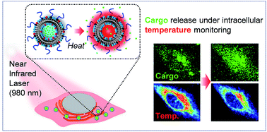 Graphical abstract: Thermosensitive nanoplatforms for photothermal release of cargo from liposomes under intracellular temperature monitoring