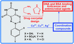 Graphical abstract: DNA and BSA binding, anticancer and antimicrobial properties of Co(ii), Co(ii/iii), Cu(ii) and Ag(i) complexes of arylhydrazones of barbituric acid