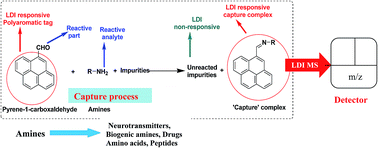 Graphical abstract: Label-assisted laser desorption/ionization mass spectrometry (LA-LDI-MS): use of pyrene aldehyde for detection of biogenic amines, amino acids and peptides