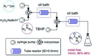 Graphical abstract: A two-step continuous flow synthesis of amides from alcohol using a metal-free catalyst