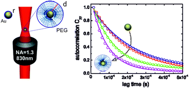 Graphical abstract: Scaling of optical forces on Au–PEG core–shell nanoparticles