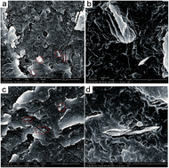 Graphical abstract: Fabrication of a high-density polyethylene/graphene composite with high exfoliation and high mechanical performance via solid-state shear milling
