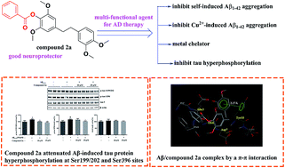 Graphical abstract: Synthesis and evaluation of neuroprotective 4-O-substituted chrysotoxine derivatives as potential multifunctional agents for the treatment of Alzheimer's disease