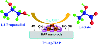 Graphical abstract: Selective oxidation of 1,2-propanediol to lactic acid catalyzed by hydroxyapatite-supported Pd and Pd–Ag nanoparticles